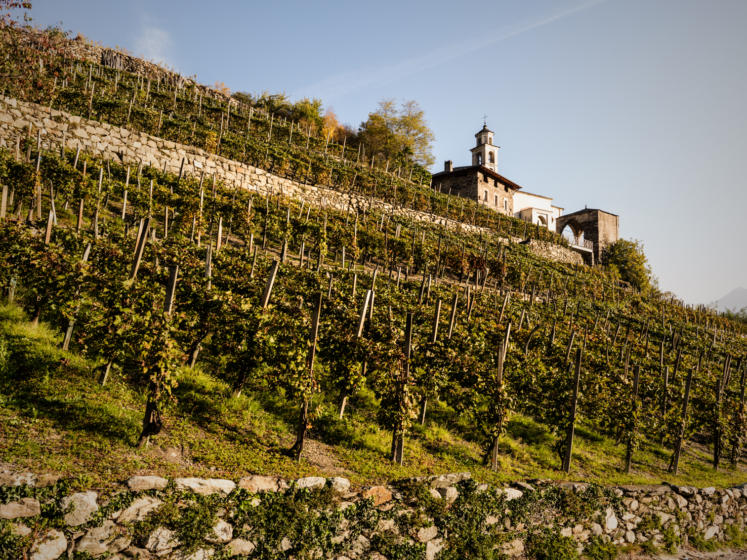 Valtellina Wine Road